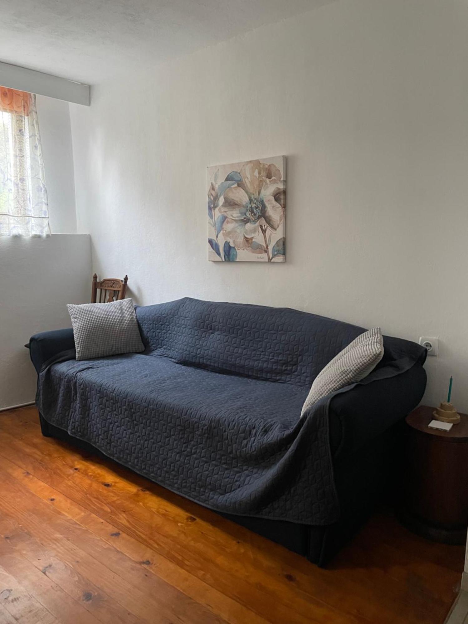 5Min Airport Apartment Surcin Exterior photo